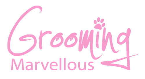 Grooming Marvellous Dog Groomer Exmouth